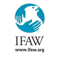 IFAW